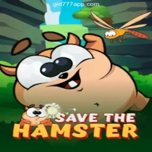 SavetheHamster: A Thrilling Journey in the World of Gaming